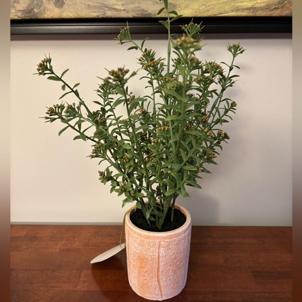 16" Faux Sedum Plant in ceramic/clay pot